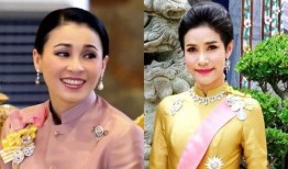 安德鲁最新爆料诗尼娜,安德鲁最新爆料揭露惊人内幕