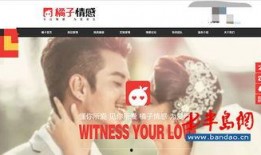 橘子5最新爆料,揭秘娱乐圈最新动态与幕后故事