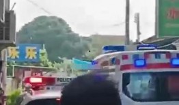 开平爆料车祸最新消息,事故详情及伤亡情况公布